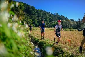 BIB: 
                            <button type="button" onclick="openModal(26571824)" class="btn btn-primary btn-sm float-right btn-popup" data-toggle="modal" data-target=".modal-high-quality">
                        <i class="fas fa-shopping-cart"></i> Add to Cart
                    </button>
                                            <button type="button" onclick="isThisMe(26571824, true)" class="btn btn-success btn-sm float-right btn-popup btn-isme hidden" data-toggle="tooltip" data-placement="bottom" title="นี่คือรูปของคุณใช่ไหม คลิกที่นี่เพื่อเอาเข้าอัลบั้ม">
                        <i class="fas fa-plus"></i> Add to album
                    </button>
                    <button type="button" onclick="isThisMe(26571824, false)" class="btn btn-warning btn-sm float-right btn-popup btn-isnotme hidden">
                        <i class="fas fa-ban"></i> Remove from album
                    </button>