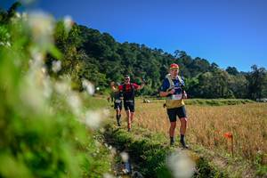 BIB: 
                            <button type="button" onclick="openModal(26573654)" class="btn btn-primary btn-sm float-right btn-popup" data-toggle="modal" data-target=".modal-high-quality">
                        <i class="fas fa-shopping-cart"></i> Add to Cart
                    </button>
                                            <button type="button" onclick="isThisMe(26573654, true)" class="btn btn-success btn-sm float-right btn-popup btn-isme hidden" data-toggle="tooltip" data-placement="bottom" title="นี่คือรูปของคุณใช่ไหม คลิกที่นี่เพื่อเอาเข้าอัลบั้ม">
                        <i class="fas fa-plus"></i> Add to album
                    </button>
                    <button type="button" onclick="isThisMe(26573654, false)" class="btn btn-warning btn-sm float-right btn-popup btn-isnotme hidden">
                        <i class="fas fa-ban"></i> Remove from album
                    </button>