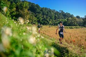 BIB: 
                            <button type="button" onclick="openModal(26570724)" class="btn btn-primary btn-sm float-right btn-popup" data-toggle="modal" data-target=".modal-high-quality">
                        <i class="fas fa-shopping-cart"></i> Add to Cart
                    </button>
                                            <button type="button" onclick="isThisMe(26570724, true)" class="btn btn-success btn-sm float-right btn-popup btn-isme hidden" data-toggle="tooltip" data-placement="bottom" title="นี่คือรูปของคุณใช่ไหม คลิกที่นี่เพื่อเอาเข้าอัลบั้ม">
                        <i class="fas fa-plus"></i> Add to album
                    </button>
                    <button type="button" onclick="isThisMe(26570724, false)" class="btn btn-warning btn-sm float-right btn-popup btn-isnotme hidden">
                        <i class="fas fa-ban"></i> Remove from album
                    </button>