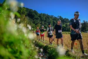 BIB: 
                            <button type="button" onclick="openModal(26574145)" class="btn btn-primary btn-sm float-right btn-popup" data-toggle="modal" data-target=".modal-high-quality">
                        <i class="fas fa-shopping-cart"></i> Add to Cart
                    </button>
                                            <button type="button" onclick="isThisMe(26574145, true)" class="btn btn-success btn-sm float-right btn-popup btn-isme hidden" data-toggle="tooltip" data-placement="bottom" title="นี่คือรูปของคุณใช่ไหม คลิกที่นี่เพื่อเอาเข้าอัลบั้ม">
                        <i class="fas fa-plus"></i> Add to album
                    </button>
                    <button type="button" onclick="isThisMe(26574145, false)" class="btn btn-warning btn-sm float-right btn-popup btn-isnotme hidden">
                        <i class="fas fa-ban"></i> Remove from album
                    </button>