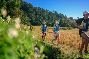 BIB: 
                            <button type="button" onclick="openModal(26570465)" class="btn btn-primary btn-sm float-right btn-popup" data-toggle="modal" data-target=".modal-high-quality">
                        <i class="fas fa-shopping-cart"></i> Add to Cart
                    </button>
                                            <button type="button" onclick="isThisMe(26570465, true)" class="btn btn-success btn-sm float-right btn-popup btn-isme hidden" data-toggle="tooltip" data-placement="bottom" title="นี่คือรูปของคุณใช่ไหม คลิกที่นี่เพื่อเอาเข้าอัลบั้ม">
                        <i class="fas fa-plus"></i> Add to album
                    </button>
                    <button type="button" onclick="isThisMe(26570465, false)" class="btn btn-warning btn-sm float-right btn-popup btn-isnotme hidden">
                        <i class="fas fa-ban"></i> Remove from album
                    </button>