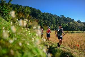 BIB: 
                            <button type="button" onclick="openModal(26571118)" class="btn btn-primary btn-sm float-right btn-popup" data-toggle="modal" data-target=".modal-high-quality">
                        <i class="fas fa-shopping-cart"></i> Add to Cart
                    </button>
                                            <button type="button" onclick="isThisMe(26571118, true)" class="btn btn-success btn-sm float-right btn-popup btn-isme hidden" data-toggle="tooltip" data-placement="bottom" title="นี่คือรูปของคุณใช่ไหม คลิกที่นี่เพื่อเอาเข้าอัลบั้ม">
                        <i class="fas fa-plus"></i> Add to album
                    </button>
                    <button type="button" onclick="isThisMe(26571118, false)" class="btn btn-warning btn-sm float-right btn-popup btn-isnotme hidden">
                        <i class="fas fa-ban"></i> Remove from album
                    </button>