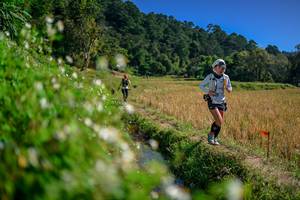 BIB: 
                            <button type="button" onclick="openModal(26581787)" class="btn btn-primary btn-sm float-right btn-popup" data-toggle="modal" data-target=".modal-high-quality">
                        <i class="fas fa-shopping-cart"></i> Add to Cart
                    </button>
                                            <button type="button" onclick="isThisMe(26581787, true)" class="btn btn-success btn-sm float-right btn-popup btn-isme hidden" data-toggle="tooltip" data-placement="bottom" title="นี่คือรูปของคุณใช่ไหม คลิกที่นี่เพื่อเอาเข้าอัลบั้ม">
                        <i class="fas fa-plus"></i> Add to album
                    </button>
                    <button type="button" onclick="isThisMe(26581787, false)" class="btn btn-warning btn-sm float-right btn-popup btn-isnotme hidden">
                        <i class="fas fa-ban"></i> Remove from album
                    </button>