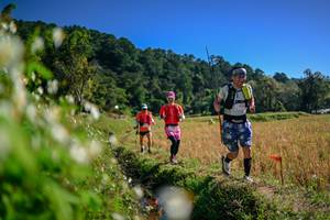 BIB: 
                            <button type="button" onclick="openModal(26574195)" class="btn btn-primary btn-sm float-right btn-popup" data-toggle="modal" data-target=".modal-high-quality">
                        <i class="fas fa-shopping-cart"></i> Add to Cart
                    </button>
                                            <button type="button" onclick="isThisMe(26574195, true)" class="btn btn-success btn-sm float-right btn-popup btn-isme hidden" data-toggle="tooltip" data-placement="bottom" title="นี่คือรูปของคุณใช่ไหม คลิกที่นี่เพื่อเอาเข้าอัลบั้ม">
                        <i class="fas fa-plus"></i> Add to album
                    </button>
                    <button type="button" onclick="isThisMe(26574195, false)" class="btn btn-warning btn-sm float-right btn-popup btn-isnotme hidden">
                        <i class="fas fa-ban"></i> Remove from album
                    </button>