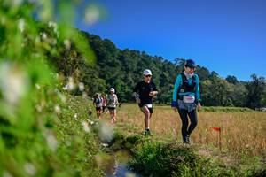 BIB: 
                            <button type="button" onclick="openModal(26580403)" class="btn btn-primary btn-sm float-right btn-popup" data-toggle="modal" data-target=".modal-high-quality">
                        <i class="fas fa-shopping-cart"></i> Add to Cart
                    </button>
                                            <button type="button" onclick="isThisMe(26580403, true)" class="btn btn-success btn-sm float-right btn-popup btn-isme hidden" data-toggle="tooltip" data-placement="bottom" title="นี่คือรูปของคุณใช่ไหม คลิกที่นี่เพื่อเอาเข้าอัลบั้ม">
                        <i class="fas fa-plus"></i> Add to album
                    </button>
                    <button type="button" onclick="isThisMe(26580403, false)" class="btn btn-warning btn-sm float-right btn-popup btn-isnotme hidden">
                        <i class="fas fa-ban"></i> Remove from album
                    </button>