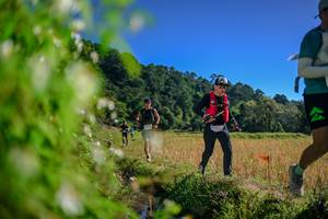 BIB: 
                            <button type="button" onclick="openModal(26579977)" class="btn btn-primary btn-sm float-right btn-popup" data-toggle="modal" data-target=".modal-high-quality">
                        <i class="fas fa-shopping-cart"></i> Add to Cart
                    </button>
                                            <button type="button" onclick="isThisMe(26579977, true)" class="btn btn-success btn-sm float-right btn-popup btn-isme hidden" data-toggle="tooltip" data-placement="bottom" title="นี่คือรูปของคุณใช่ไหม คลิกที่นี่เพื่อเอาเข้าอัลบั้ม">
                        <i class="fas fa-plus"></i> Add to album
                    </button>
                    <button type="button" onclick="isThisMe(26579977, false)" class="btn btn-warning btn-sm float-right btn-popup btn-isnotme hidden">
                        <i class="fas fa-ban"></i> Remove from album
                    </button>