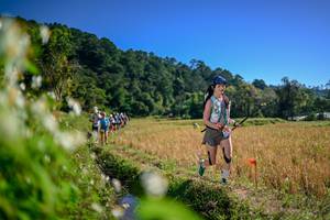 BIB: 
                            <button type="button" onclick="openModal(26575465)" class="btn btn-primary btn-sm float-right btn-popup" data-toggle="modal" data-target=".modal-high-quality">
                        <i class="fas fa-shopping-cart"></i> Add to Cart
                    </button>
                                            <button type="button" onclick="isThisMe(26575465, true)" class="btn btn-success btn-sm float-right btn-popup btn-isme hidden" data-toggle="tooltip" data-placement="bottom" title="นี่คือรูปของคุณใช่ไหม คลิกที่นี่เพื่อเอาเข้าอัลบั้ม">
                        <i class="fas fa-plus"></i> Add to album
                    </button>
                    <button type="button" onclick="isThisMe(26575465, false)" class="btn btn-warning btn-sm float-right btn-popup btn-isnotme hidden">
                        <i class="fas fa-ban"></i> Remove from album
                    </button>