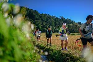 BIB: 
                            <button type="button" onclick="openModal(26572078)" class="btn btn-primary btn-sm float-right btn-popup" data-toggle="modal" data-target=".modal-high-quality">
                        <i class="fas fa-shopping-cart"></i> Add to Cart
                    </button>
                                            <button type="button" onclick="isThisMe(26572078, true)" class="btn btn-success btn-sm float-right btn-popup btn-isme hidden" data-toggle="tooltip" data-placement="bottom" title="นี่คือรูปของคุณใช่ไหม คลิกที่นี่เพื่อเอาเข้าอัลบั้ม">
                        <i class="fas fa-plus"></i> Add to album
                    </button>
                    <button type="button" onclick="isThisMe(26572078, false)" class="btn btn-warning btn-sm float-right btn-popup btn-isnotme hidden">
                        <i class="fas fa-ban"></i> Remove from album
                    </button>