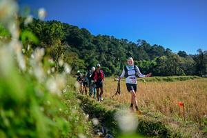 BIB: 
                            <button type="button" onclick="openModal(26572722)" class="btn btn-primary btn-sm float-right btn-popup" data-toggle="modal" data-target=".modal-high-quality">
                        <i class="fas fa-shopping-cart"></i> Add to Cart
                    </button>
                                            <button type="button" onclick="isThisMe(26572722, true)" class="btn btn-success btn-sm float-right btn-popup btn-isme hidden" data-toggle="tooltip" data-placement="bottom" title="นี่คือรูปของคุณใช่ไหม คลิกที่นี่เพื่อเอาเข้าอัลบั้ม">
                        <i class="fas fa-plus"></i> Add to album
                    </button>
                    <button type="button" onclick="isThisMe(26572722, false)" class="btn btn-warning btn-sm float-right btn-popup btn-isnotme hidden">
                        <i class="fas fa-ban"></i> Remove from album
                    </button>