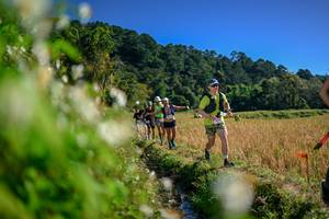 BIB: 
                            <button type="button" onclick="openModal(26574006)" class="btn btn-primary btn-sm float-right btn-popup" data-toggle="modal" data-target=".modal-high-quality">
                        <i class="fas fa-shopping-cart"></i> Add to Cart
                    </button>
                                            <button type="button" onclick="isThisMe(26574006, true)" class="btn btn-success btn-sm float-right btn-popup btn-isme hidden" data-toggle="tooltip" data-placement="bottom" title="นี่คือรูปของคุณใช่ไหม คลิกที่นี่เพื่อเอาเข้าอัลบั้ม">
                        <i class="fas fa-plus"></i> Add to album
                    </button>
                    <button type="button" onclick="isThisMe(26574006, false)" class="btn btn-warning btn-sm float-right btn-popup btn-isnotme hidden">
                        <i class="fas fa-ban"></i> Remove from album
                    </button>