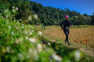 BIB: 
                            <button type="button" onclick="openModal(26581827)" class="btn btn-primary btn-sm float-right btn-popup" data-toggle="modal" data-target=".modal-high-quality">
                        <i class="fas fa-shopping-cart"></i> Add to Cart
                    </button>
                                            <button type="button" onclick="isThisMe(26581827, true)" class="btn btn-success btn-sm float-right btn-popup btn-isme hidden" data-toggle="tooltip" data-placement="bottom" title="นี่คือรูปของคุณใช่ไหม คลิกที่นี่เพื่อเอาเข้าอัลบั้ม">
                        <i class="fas fa-plus"></i> Add to album
                    </button>
                    <button type="button" onclick="isThisMe(26581827, false)" class="btn btn-warning btn-sm float-right btn-popup btn-isnotme hidden">
                        <i class="fas fa-ban"></i> Remove from album
                    </button>