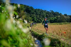 BIB: 
                            <button type="button" onclick="openModal(26574747)" class="btn btn-primary btn-sm float-right btn-popup" data-toggle="modal" data-target=".modal-high-quality">
                        <i class="fas fa-shopping-cart"></i> Add to Cart
                    </button>
                                            <button type="button" onclick="isThisMe(26574747, true)" class="btn btn-success btn-sm float-right btn-popup btn-isme hidden" data-toggle="tooltip" data-placement="bottom" title="นี่คือรูปของคุณใช่ไหม คลิกที่นี่เพื่อเอาเข้าอัลบั้ม">
                        <i class="fas fa-plus"></i> Add to album
                    </button>
                    <button type="button" onclick="isThisMe(26574747, false)" class="btn btn-warning btn-sm float-right btn-popup btn-isnotme hidden">
                        <i class="fas fa-ban"></i> Remove from album
                    </button>