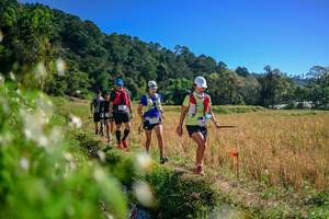 BIB: 
                            <button type="button" onclick="openModal(26579616)" class="btn btn-primary btn-sm float-right btn-popup" data-toggle="modal" data-target=".modal-high-quality">
                        <i class="fas fa-shopping-cart"></i> Add to Cart
                    </button>
                                            <button type="button" onclick="isThisMe(26579616, true)" class="btn btn-success btn-sm float-right btn-popup btn-isme hidden" data-toggle="tooltip" data-placement="bottom" title="นี่คือรูปของคุณใช่ไหม คลิกที่นี่เพื่อเอาเข้าอัลบั้ม">
                        <i class="fas fa-plus"></i> Add to album
                    </button>
                    <button type="button" onclick="isThisMe(26579616, false)" class="btn btn-warning btn-sm float-right btn-popup btn-isnotme hidden">
                        <i class="fas fa-ban"></i> Remove from album
                    </button>