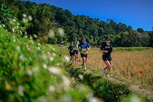 BIB: 
                            <button type="button" onclick="openModal(26582292)" class="btn btn-primary btn-sm float-right btn-popup" data-toggle="modal" data-target=".modal-high-quality">
                        <i class="fas fa-shopping-cart"></i> Add to Cart
                    </button>
                                            <button type="button" onclick="isThisMe(26582292, true)" class="btn btn-success btn-sm float-right btn-popup btn-isme hidden" data-toggle="tooltip" data-placement="bottom" title="นี่คือรูปของคุณใช่ไหม คลิกที่นี่เพื่อเอาเข้าอัลบั้ม">
                        <i class="fas fa-plus"></i> Add to album
                    </button>
                    <button type="button" onclick="isThisMe(26582292, false)" class="btn btn-warning btn-sm float-right btn-popup btn-isnotme hidden">
                        <i class="fas fa-ban"></i> Remove from album
                    </button>