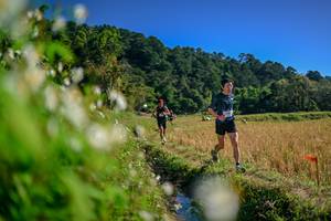 BIB: 
                            <button type="button" onclick="openModal(26573801)" class="btn btn-primary btn-sm float-right btn-popup" data-toggle="modal" data-target=".modal-high-quality">
                        <i class="fas fa-shopping-cart"></i> Add to Cart
                    </button>
                                            <button type="button" onclick="isThisMe(26573801, true)" class="btn btn-success btn-sm float-right btn-popup btn-isme hidden" data-toggle="tooltip" data-placement="bottom" title="นี่คือรูปของคุณใช่ไหม คลิกที่นี่เพื่อเอาเข้าอัลบั้ม">
                        <i class="fas fa-plus"></i> Add to album
                    </button>
                    <button type="button" onclick="isThisMe(26573801, false)" class="btn btn-warning btn-sm float-right btn-popup btn-isnotme hidden">
                        <i class="fas fa-ban"></i> Remove from album
                    </button>