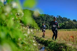 BIB: 
                            <button type="button" onclick="openModal(26580881)" class="btn btn-primary btn-sm float-right btn-popup" data-toggle="modal" data-target=".modal-high-quality">
                        <i class="fas fa-shopping-cart"></i> Add to Cart
                    </button>
                                            <button type="button" onclick="isThisMe(26580881, true)" class="btn btn-success btn-sm float-right btn-popup btn-isme hidden" data-toggle="tooltip" data-placement="bottom" title="นี่คือรูปของคุณใช่ไหม คลิกที่นี่เพื่อเอาเข้าอัลบั้ม">
                        <i class="fas fa-plus"></i> Add to album
                    </button>
                    <button type="button" onclick="isThisMe(26580881, false)" class="btn btn-warning btn-sm float-right btn-popup btn-isnotme hidden">
                        <i class="fas fa-ban"></i> Remove from album
                    </button>