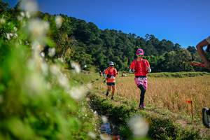 BIB: 
                            <button type="button" onclick="openModal(26574196)" class="btn btn-primary btn-sm float-right btn-popup" data-toggle="modal" data-target=".modal-high-quality">
                        <i class="fas fa-shopping-cart"></i> Add to Cart
                    </button>
                                            <button type="button" onclick="isThisMe(26574196, true)" class="btn btn-success btn-sm float-right btn-popup btn-isme hidden" data-toggle="tooltip" data-placement="bottom" title="นี่คือรูปของคุณใช่ไหม คลิกที่นี่เพื่อเอาเข้าอัลบั้ม">
                        <i class="fas fa-plus"></i> Add to album
                    </button>
                    <button type="button" onclick="isThisMe(26574196, false)" class="btn btn-warning btn-sm float-right btn-popup btn-isnotme hidden">
                        <i class="fas fa-ban"></i> Remove from album
                    </button>