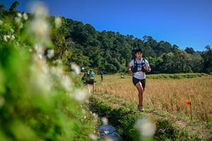 BIB: 
                            <button type="button" onclick="openModal(26575138)" class="btn btn-primary btn-sm float-right btn-popup" data-toggle="modal" data-target=".modal-high-quality">
                        <i class="fas fa-shopping-cart"></i> Add to Cart
                    </button>
                                            <button type="button" onclick="isThisMe(26575138, true)" class="btn btn-success btn-sm float-right btn-popup btn-isme hidden" data-toggle="tooltip" data-placement="bottom" title="นี่คือรูปของคุณใช่ไหม คลิกที่นี่เพื่อเอาเข้าอัลบั้ม">
                        <i class="fas fa-plus"></i> Add to album
                    </button>
                    <button type="button" onclick="isThisMe(26575138, false)" class="btn btn-warning btn-sm float-right btn-popup btn-isnotme hidden">
                        <i class="fas fa-ban"></i> Remove from album
                    </button>