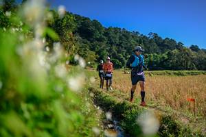 BIB: 
                            <button type="button" onclick="openModal(26572833)" class="btn btn-primary btn-sm float-right btn-popup" data-toggle="modal" data-target=".modal-high-quality">
                        <i class="fas fa-shopping-cart"></i> Add to Cart
                    </button>
                                            <button type="button" onclick="isThisMe(26572833, true)" class="btn btn-success btn-sm float-right btn-popup btn-isme hidden" data-toggle="tooltip" data-placement="bottom" title="นี่คือรูปของคุณใช่ไหม คลิกที่นี่เพื่อเอาเข้าอัลบั้ม">
                        <i class="fas fa-plus"></i> Add to album
                    </button>
                    <button type="button" onclick="isThisMe(26572833, false)" class="btn btn-warning btn-sm float-right btn-popup btn-isnotme hidden">
                        <i class="fas fa-ban"></i> Remove from album
                    </button>