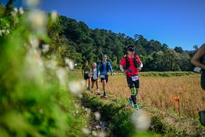 BIB: 
                            <button type="button" onclick="openModal(26574370)" class="btn btn-primary btn-sm float-right btn-popup" data-toggle="modal" data-target=".modal-high-quality">
                        <i class="fas fa-shopping-cart"></i> Add to Cart
                    </button>
                                            <button type="button" onclick="isThisMe(26574370, true)" class="btn btn-success btn-sm float-right btn-popup btn-isme hidden" data-toggle="tooltip" data-placement="bottom" title="นี่คือรูปของคุณใช่ไหม คลิกที่นี่เพื่อเอาเข้าอัลบั้ม">
                        <i class="fas fa-plus"></i> Add to album
                    </button>
                    <button type="button" onclick="isThisMe(26574370, false)" class="btn btn-warning btn-sm float-right btn-popup btn-isnotme hidden">
                        <i class="fas fa-ban"></i> Remove from album
                    </button>