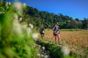 BIB: 
                            <button type="button" onclick="openModal(26574547)" class="btn btn-primary btn-sm float-right btn-popup" data-toggle="modal" data-target=".modal-high-quality">
                        <i class="fas fa-shopping-cart"></i> Add to Cart
                    </button>
                                            <button type="button" onclick="isThisMe(26574547, true)" class="btn btn-success btn-sm float-right btn-popup btn-isme hidden" data-toggle="tooltip" data-placement="bottom" title="นี่คือรูปของคุณใช่ไหม คลิกที่นี่เพื่อเอาเข้าอัลบั้ม">
                        <i class="fas fa-plus"></i> Add to album
                    </button>
                    <button type="button" onclick="isThisMe(26574547, false)" class="btn btn-warning btn-sm float-right btn-popup btn-isnotme hidden">
                        <i class="fas fa-ban"></i> Remove from album
                    </button>