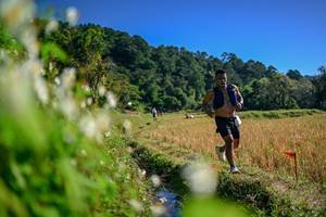 BIB: 
                            <button type="button" onclick="openModal(26573618)" class="btn btn-primary btn-sm float-right btn-popup" data-toggle="modal" data-target=".modal-high-quality">
                        <i class="fas fa-shopping-cart"></i> Add to Cart
                    </button>
                                            <button type="button" onclick="isThisMe(26573618, true)" class="btn btn-success btn-sm float-right btn-popup btn-isme hidden" data-toggle="tooltip" data-placement="bottom" title="นี่คือรูปของคุณใช่ไหม คลิกที่นี่เพื่อเอาเข้าอัลบั้ม">
                        <i class="fas fa-plus"></i> Add to album
                    </button>
                    <button type="button" onclick="isThisMe(26573618, false)" class="btn btn-warning btn-sm float-right btn-popup btn-isnotme hidden">
                        <i class="fas fa-ban"></i> Remove from album
                    </button>