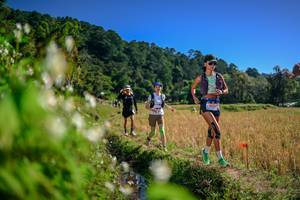 BIB: 
                            <button type="button" onclick="openModal(26575550)" class="btn btn-primary btn-sm float-right btn-popup" data-toggle="modal" data-target=".modal-high-quality">
                        <i class="fas fa-shopping-cart"></i> Add to Cart
                    </button>
                                            <button type="button" onclick="isThisMe(26575550, true)" class="btn btn-success btn-sm float-right btn-popup btn-isme hidden" data-toggle="tooltip" data-placement="bottom" title="นี่คือรูปของคุณใช่ไหม คลิกที่นี่เพื่อเอาเข้าอัลบั้ม">
                        <i class="fas fa-plus"></i> Add to album
                    </button>
                    <button type="button" onclick="isThisMe(26575550, false)" class="btn btn-warning btn-sm float-right btn-popup btn-isnotme hidden">
                        <i class="fas fa-ban"></i> Remove from album
                    </button>