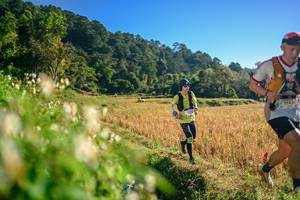 BIB: 
                            <button type="button" onclick="openModal(26570599)" class="btn btn-primary btn-sm float-right btn-popup" data-toggle="modal" data-target=".modal-high-quality">
                        <i class="fas fa-shopping-cart"></i> Add to Cart
                    </button>
                                            <button type="button" onclick="isThisMe(26570599, true)" class="btn btn-success btn-sm float-right btn-popup btn-isme hidden" data-toggle="tooltip" data-placement="bottom" title="นี่คือรูปของคุณใช่ไหม คลิกที่นี่เพื่อเอาเข้าอัลบั้ม">
                        <i class="fas fa-plus"></i> Add to album
                    </button>
                    <button type="button" onclick="isThisMe(26570599, false)" class="btn btn-warning btn-sm float-right btn-popup btn-isnotme hidden">
                        <i class="fas fa-ban"></i> Remove from album
                    </button>