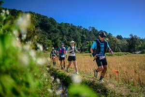 BIB: 
                            <button type="button" onclick="openModal(26575601)" class="btn btn-primary btn-sm float-right btn-popup" data-toggle="modal" data-target=".modal-high-quality">
                        <i class="fas fa-shopping-cart"></i> Add to Cart
                    </button>
                                            <button type="button" onclick="isThisMe(26575601, true)" class="btn btn-success btn-sm float-right btn-popup btn-isme hidden" data-toggle="tooltip" data-placement="bottom" title="นี่คือรูปของคุณใช่ไหม คลิกที่นี่เพื่อเอาเข้าอัลบั้ม">
                        <i class="fas fa-plus"></i> Add to album
                    </button>
                    <button type="button" onclick="isThisMe(26575601, false)" class="btn btn-warning btn-sm float-right btn-popup btn-isnotme hidden">
                        <i class="fas fa-ban"></i> Remove from album
                    </button>