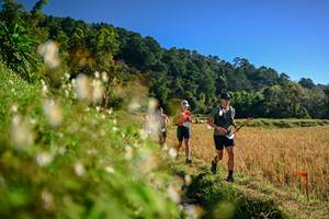 BIB: 
                            <button type="button" onclick="openModal(26571115)" class="btn btn-primary btn-sm float-right btn-popup" data-toggle="modal" data-target=".modal-high-quality">
                        <i class="fas fa-shopping-cart"></i> Add to Cart
                    </button>
                                            <button type="button" onclick="isThisMe(26571115, true)" class="btn btn-success btn-sm float-right btn-popup btn-isme hidden" data-toggle="tooltip" data-placement="bottom" title="นี่คือรูปของคุณใช่ไหม คลิกที่นี่เพื่อเอาเข้าอัลบั้ม">
                        <i class="fas fa-plus"></i> Add to album
                    </button>
                    <button type="button" onclick="isThisMe(26571115, false)" class="btn btn-warning btn-sm float-right btn-popup btn-isnotme hidden">
                        <i class="fas fa-ban"></i> Remove from album
                    </button>