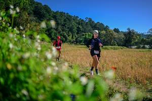 BIB: 
                            <button type="button" onclick="openModal(26581430)" class="btn btn-primary btn-sm float-right btn-popup" data-toggle="modal" data-target=".modal-high-quality">
                        <i class="fas fa-shopping-cart"></i> Add to Cart
                    </button>
                                            <button type="button" onclick="isThisMe(26581430, true)" class="btn btn-success btn-sm float-right btn-popup btn-isme hidden" data-toggle="tooltip" data-placement="bottom" title="นี่คือรูปของคุณใช่ไหม คลิกที่นี่เพื่อเอาเข้าอัลบั้ม">
                        <i class="fas fa-plus"></i> Add to album
                    </button>
                    <button type="button" onclick="isThisMe(26581430, false)" class="btn btn-warning btn-sm float-right btn-popup btn-isnotme hidden">
                        <i class="fas fa-ban"></i> Remove from album
                    </button>