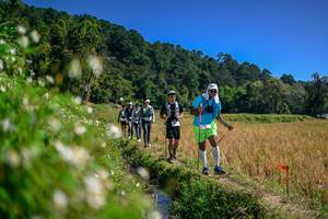 BIB: 
                            <button type="button" onclick="openModal(26582598)" class="btn btn-primary btn-sm float-right btn-popup" data-toggle="modal" data-target=".modal-high-quality">
                        <i class="fas fa-shopping-cart"></i> Add to Cart
                    </button>
                                            <button type="button" onclick="isThisMe(26582598, true)" class="btn btn-success btn-sm float-right btn-popup btn-isme hidden" data-toggle="tooltip" data-placement="bottom" title="นี่คือรูปของคุณใช่ไหม คลิกที่นี่เพื่อเอาเข้าอัลบั้ม">
                        <i class="fas fa-plus"></i> Add to album
                    </button>
                    <button type="button" onclick="isThisMe(26582598, false)" class="btn btn-warning btn-sm float-right btn-popup btn-isnotme hidden">
                        <i class="fas fa-ban"></i> Remove from album
                    </button>