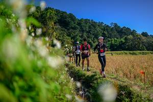 BIB: 
                            <button type="button" onclick="openModal(26573965)" class="btn btn-primary btn-sm float-right btn-popup" data-toggle="modal" data-target=".modal-high-quality">
                        <i class="fas fa-shopping-cart"></i> Add to Cart
                    </button>
                                            <button type="button" onclick="isThisMe(26573965, true)" class="btn btn-success btn-sm float-right btn-popup btn-isme hidden" data-toggle="tooltip" data-placement="bottom" title="นี่คือรูปของคุณใช่ไหม คลิกที่นี่เพื่อเอาเข้าอัลบั้ม">
                        <i class="fas fa-plus"></i> Add to album
                    </button>
                    <button type="button" onclick="isThisMe(26573965, false)" class="btn btn-warning btn-sm float-right btn-popup btn-isnotme hidden">
                        <i class="fas fa-ban"></i> Remove from album
                    </button>