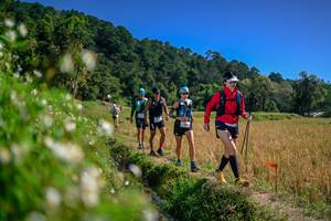 BIB: 
                            <button type="button" onclick="openModal(26582766)" class="btn btn-primary btn-sm float-right btn-popup" data-toggle="modal" data-target=".modal-high-quality">
                        <i class="fas fa-shopping-cart"></i> Add to Cart
                    </button>
                                            <button type="button" onclick="isThisMe(26582766, true)" class="btn btn-success btn-sm float-right btn-popup btn-isme hidden" data-toggle="tooltip" data-placement="bottom" title="นี่คือรูปของคุณใช่ไหม คลิกที่นี่เพื่อเอาเข้าอัลบั้ม">
                        <i class="fas fa-plus"></i> Add to album
                    </button>
                    <button type="button" onclick="isThisMe(26582766, false)" class="btn btn-warning btn-sm float-right btn-popup btn-isnotme hidden">
                        <i class="fas fa-ban"></i> Remove from album
                    </button>