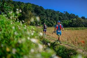 BIB: 
                            <button type="button" onclick="openModal(26581969)" class="btn btn-primary btn-sm float-right btn-popup" data-toggle="modal" data-target=".modal-high-quality">
                        <i class="fas fa-shopping-cart"></i> Add to Cart
                    </button>
                                            <button type="button" onclick="isThisMe(26581969, true)" class="btn btn-success btn-sm float-right btn-popup btn-isme hidden" data-toggle="tooltip" data-placement="bottom" title="นี่คือรูปของคุณใช่ไหม คลิกที่นี่เพื่อเอาเข้าอัลบั้ม">
                        <i class="fas fa-plus"></i> Add to album
                    </button>
                    <button type="button" onclick="isThisMe(26581969, false)" class="btn btn-warning btn-sm float-right btn-popup btn-isnotme hidden">
                        <i class="fas fa-ban"></i> Remove from album
                    </button>