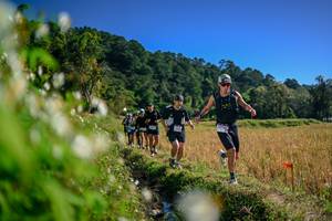 BIB: 
                            <button type="button" onclick="openModal(26574046)" class="btn btn-primary btn-sm float-right btn-popup" data-toggle="modal" data-target=".modal-high-quality">
                        <i class="fas fa-shopping-cart"></i> Add to Cart
                    </button>
                                            <button type="button" onclick="isThisMe(26574046, true)" class="btn btn-success btn-sm float-right btn-popup btn-isme hidden" data-toggle="tooltip" data-placement="bottom" title="นี่คือรูปของคุณใช่ไหม คลิกที่นี่เพื่อเอาเข้าอัลบั้ม">
                        <i class="fas fa-plus"></i> Add to album
                    </button>
                    <button type="button" onclick="isThisMe(26574046, false)" class="btn btn-warning btn-sm float-right btn-popup btn-isnotme hidden">
                        <i class="fas fa-ban"></i> Remove from album
                    </button>