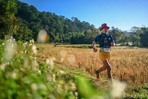 BIB: 
                            <button type="button" onclick="openModal(26570303)" class="btn btn-primary btn-sm float-right btn-popup" data-toggle="modal" data-target=".modal-high-quality">
                        <i class="fas fa-shopping-cart"></i> Add to Cart
                    </button>
                                            <button type="button" onclick="isThisMe(26570303, true)" class="btn btn-success btn-sm float-right btn-popup btn-isme hidden" data-toggle="tooltip" data-placement="bottom" title="นี่คือรูปของคุณใช่ไหม คลิกที่นี่เพื่อเอาเข้าอัลบั้ม">
                        <i class="fas fa-plus"></i> Add to album
                    </button>
                    <button type="button" onclick="isThisMe(26570303, false)" class="btn btn-warning btn-sm float-right btn-popup btn-isnotme hidden">
                        <i class="fas fa-ban"></i> Remove from album
                    </button>