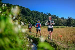 BIB: 
                            <button type="button" onclick="openModal(26575603)" class="btn btn-primary btn-sm float-right btn-popup" data-toggle="modal" data-target=".modal-high-quality">
                        <i class="fas fa-shopping-cart"></i> Add to Cart
                    </button>
                                            <button type="button" onclick="isThisMe(26575603, true)" class="btn btn-success btn-sm float-right btn-popup btn-isme hidden" data-toggle="tooltip" data-placement="bottom" title="นี่คือรูปของคุณใช่ไหม คลิกที่นี่เพื่อเอาเข้าอัลบั้ม">
                        <i class="fas fa-plus"></i> Add to album
                    </button>
                    <button type="button" onclick="isThisMe(26575603, false)" class="btn btn-warning btn-sm float-right btn-popup btn-isnotme hidden">
                        <i class="fas fa-ban"></i> Remove from album
                    </button>