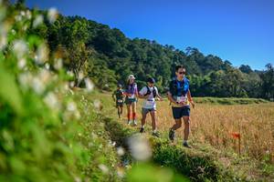 BIB: 
                            <button type="button" onclick="openModal(26571757)" class="btn btn-primary btn-sm float-right btn-popup" data-toggle="modal" data-target=".modal-high-quality">
                        <i class="fas fa-shopping-cart"></i> Add to Cart
                    </button>
                                            <button type="button" onclick="isThisMe(26571757, true)" class="btn btn-success btn-sm float-right btn-popup btn-isme hidden" data-toggle="tooltip" data-placement="bottom" title="นี่คือรูปของคุณใช่ไหม คลิกที่นี่เพื่อเอาเข้าอัลบั้ม">
                        <i class="fas fa-plus"></i> Add to album
                    </button>
                    <button type="button" onclick="isThisMe(26571757, false)" class="btn btn-warning btn-sm float-right btn-popup btn-isnotme hidden">
                        <i class="fas fa-ban"></i> Remove from album
                    </button>