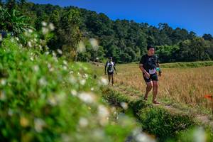 BIB: 
                            <button type="button" onclick="openModal(26581887)" class="btn btn-primary btn-sm float-right btn-popup" data-toggle="modal" data-target=".modal-high-quality">
                        <i class="fas fa-shopping-cart"></i> Add to Cart
                    </button>
                                            <button type="button" onclick="isThisMe(26581887, true)" class="btn btn-success btn-sm float-right btn-popup btn-isme hidden" data-toggle="tooltip" data-placement="bottom" title="นี่คือรูปของคุณใช่ไหม คลิกที่นี่เพื่อเอาเข้าอัลบั้ม">
                        <i class="fas fa-plus"></i> Add to album
                    </button>
                    <button type="button" onclick="isThisMe(26581887, false)" class="btn btn-warning btn-sm float-right btn-popup btn-isnotme hidden">
                        <i class="fas fa-ban"></i> Remove from album
                    </button>