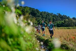 BIB: 
                            <button type="button" onclick="openModal(26573249)" class="btn btn-primary btn-sm float-right btn-popup" data-toggle="modal" data-target=".modal-high-quality">
                        <i class="fas fa-shopping-cart"></i> Add to Cart
                    </button>
                                            <button type="button" onclick="isThisMe(26573249, true)" class="btn btn-success btn-sm float-right btn-popup btn-isme hidden" data-toggle="tooltip" data-placement="bottom" title="นี่คือรูปของคุณใช่ไหม คลิกที่นี่เพื่อเอาเข้าอัลบั้ม">
                        <i class="fas fa-plus"></i> Add to album
                    </button>
                    <button type="button" onclick="isThisMe(26573249, false)" class="btn btn-warning btn-sm float-right btn-popup btn-isnotme hidden">
                        <i class="fas fa-ban"></i> Remove from album
                    </button>