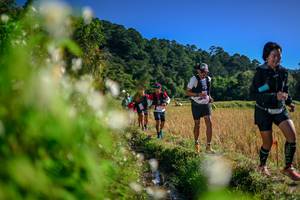 BIB: 
                            <button type="button" onclick="openModal(26574599)" class="btn btn-primary btn-sm float-right btn-popup" data-toggle="modal" data-target=".modal-high-quality">
                        <i class="fas fa-shopping-cart"></i> Add to Cart
                    </button>
                                            <button type="button" onclick="isThisMe(26574599, true)" class="btn btn-success btn-sm float-right btn-popup btn-isme hidden" data-toggle="tooltip" data-placement="bottom" title="นี่คือรูปของคุณใช่ไหม คลิกที่นี่เพื่อเอาเข้าอัลบั้ม">
                        <i class="fas fa-plus"></i> Add to album
                    </button>
                    <button type="button" onclick="isThisMe(26574599, false)" class="btn btn-warning btn-sm float-right btn-popup btn-isnotme hidden">
                        <i class="fas fa-ban"></i> Remove from album
                    </button>