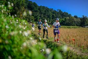 BIB: 
                            <button type="button" onclick="openModal(26581593)" class="btn btn-primary btn-sm float-right btn-popup" data-toggle="modal" data-target=".modal-high-quality">
                        <i class="fas fa-shopping-cart"></i> Add to Cart
                    </button>
                                            <button type="button" onclick="isThisMe(26581593, true)" class="btn btn-success btn-sm float-right btn-popup btn-isme hidden" data-toggle="tooltip" data-placement="bottom" title="นี่คือรูปของคุณใช่ไหม คลิกที่นี่เพื่อเอาเข้าอัลบั้ม">
                        <i class="fas fa-plus"></i> Add to album
                    </button>
                    <button type="button" onclick="isThisMe(26581593, false)" class="btn btn-warning btn-sm float-right btn-popup btn-isnotme hidden">
                        <i class="fas fa-ban"></i> Remove from album
                    </button>