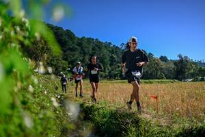 BIB: 
                            <button type="button" onclick="openModal(26579803)" class="btn btn-primary btn-sm float-right btn-popup" data-toggle="modal" data-target=".modal-high-quality">
                        <i class="fas fa-shopping-cart"></i> Add to Cart
                    </button>
                                            <button type="button" onclick="isThisMe(26579803, true)" class="btn btn-success btn-sm float-right btn-popup btn-isme hidden" data-toggle="tooltip" data-placement="bottom" title="นี่คือรูปของคุณใช่ไหม คลิกที่นี่เพื่อเอาเข้าอัลบั้ม">
                        <i class="fas fa-plus"></i> Add to album
                    </button>
                    <button type="button" onclick="isThisMe(26579803, false)" class="btn btn-warning btn-sm float-right btn-popup btn-isnotme hidden">
                        <i class="fas fa-ban"></i> Remove from album
                    </button>