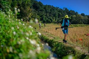 BIB: 
                            <button type="button" onclick="openModal(26581780)" class="btn btn-primary btn-sm float-right btn-popup" data-toggle="modal" data-target=".modal-high-quality">
                        <i class="fas fa-shopping-cart"></i> Add to Cart
                    </button>
                                            <button type="button" onclick="isThisMe(26581780, true)" class="btn btn-success btn-sm float-right btn-popup btn-isme hidden" data-toggle="tooltip" data-placement="bottom" title="นี่คือรูปของคุณใช่ไหม คลิกที่นี่เพื่อเอาเข้าอัลบั้ม">
                        <i class="fas fa-plus"></i> Add to album
                    </button>
                    <button type="button" onclick="isThisMe(26581780, false)" class="btn btn-warning btn-sm float-right btn-popup btn-isnotme hidden">
                        <i class="fas fa-ban"></i> Remove from album
                    </button>