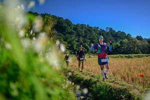 BIB: 
                            <button type="button" onclick="openModal(26572145)" class="btn btn-primary btn-sm float-right btn-popup" data-toggle="modal" data-target=".modal-high-quality">
                        <i class="fas fa-shopping-cart"></i> Add to Cart
                    </button>
                                            <button type="button" onclick="isThisMe(26572145, true)" class="btn btn-success btn-sm float-right btn-popup btn-isme hidden" data-toggle="tooltip" data-placement="bottom" title="นี่คือรูปของคุณใช่ไหม คลิกที่นี่เพื่อเอาเข้าอัลบั้ม">
                        <i class="fas fa-plus"></i> Add to album
                    </button>
                    <button type="button" onclick="isThisMe(26572145, false)" class="btn btn-warning btn-sm float-right btn-popup btn-isnotme hidden">
                        <i class="fas fa-ban"></i> Remove from album
                    </button>