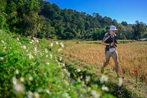 BIB: 
                            <button type="button" onclick="openModal(26571274)" class="btn btn-primary btn-sm float-right btn-popup" data-toggle="modal" data-target=".modal-high-quality">
                        <i class="fas fa-shopping-cart"></i> Add to Cart
                    </button>
                                            <button type="button" onclick="isThisMe(26571274, true)" class="btn btn-success btn-sm float-right btn-popup btn-isme hidden" data-toggle="tooltip" data-placement="bottom" title="นี่คือรูปของคุณใช่ไหม คลิกที่นี่เพื่อเอาเข้าอัลบั้ม">
                        <i class="fas fa-plus"></i> Add to album
                    </button>
                    <button type="button" onclick="isThisMe(26571274, false)" class="btn btn-warning btn-sm float-right btn-popup btn-isnotme hidden">
                        <i class="fas fa-ban"></i> Remove from album
                    </button>