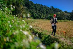 BIB: 
                            <button type="button" onclick="openModal(26581798)" class="btn btn-primary btn-sm float-right btn-popup" data-toggle="modal" data-target=".modal-high-quality">
                        <i class="fas fa-shopping-cart"></i> Add to Cart
                    </button>
                                            <button type="button" onclick="isThisMe(26581798, true)" class="btn btn-success btn-sm float-right btn-popup btn-isme hidden" data-toggle="tooltip" data-placement="bottom" title="นี่คือรูปของคุณใช่ไหม คลิกที่นี่เพื่อเอาเข้าอัลบั้ม">
                        <i class="fas fa-plus"></i> Add to album
                    </button>
                    <button type="button" onclick="isThisMe(26581798, false)" class="btn btn-warning btn-sm float-right btn-popup btn-isnotme hidden">
                        <i class="fas fa-ban"></i> Remove from album
                    </button>