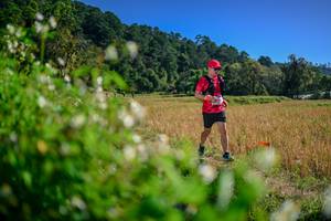 BIB: 
                            <button type="button" onclick="openModal(26581439)" class="btn btn-primary btn-sm float-right btn-popup" data-toggle="modal" data-target=".modal-high-quality">
                        <i class="fas fa-shopping-cart"></i> Add to Cart
                    </button>
                                            <button type="button" onclick="isThisMe(26581439, true)" class="btn btn-success btn-sm float-right btn-popup btn-isme hidden" data-toggle="tooltip" data-placement="bottom" title="นี่คือรูปของคุณใช่ไหม คลิกที่นี่เพื่อเอาเข้าอัลบั้ม">
                        <i class="fas fa-plus"></i> Add to album
                    </button>
                    <button type="button" onclick="isThisMe(26581439, false)" class="btn btn-warning btn-sm float-right btn-popup btn-isnotme hidden">
                        <i class="fas fa-ban"></i> Remove from album
                    </button>