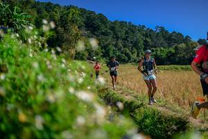 BIB: 
                            <button type="button" onclick="openModal(26582244)" class="btn btn-primary btn-sm float-right btn-popup" data-toggle="modal" data-target=".modal-high-quality">
                        <i class="fas fa-shopping-cart"></i> Add to Cart
                    </button>
                                            <button type="button" onclick="isThisMe(26582244, true)" class="btn btn-success btn-sm float-right btn-popup btn-isme hidden" data-toggle="tooltip" data-placement="bottom" title="นี่คือรูปของคุณใช่ไหม คลิกที่นี่เพื่อเอาเข้าอัลบั้ม">
                        <i class="fas fa-plus"></i> Add to album
                    </button>
                    <button type="button" onclick="isThisMe(26582244, false)" class="btn btn-warning btn-sm float-right btn-popup btn-isnotme hidden">
                        <i class="fas fa-ban"></i> Remove from album
                    </button>